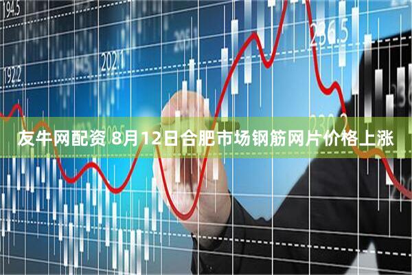 友牛网配资 8月12日合肥市场钢筋网片价格上涨