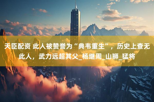 天臣配资 此人被赞誉为“典韦重生”，历史上查无此人，武力远超其父_杨继周_山狮_猛将