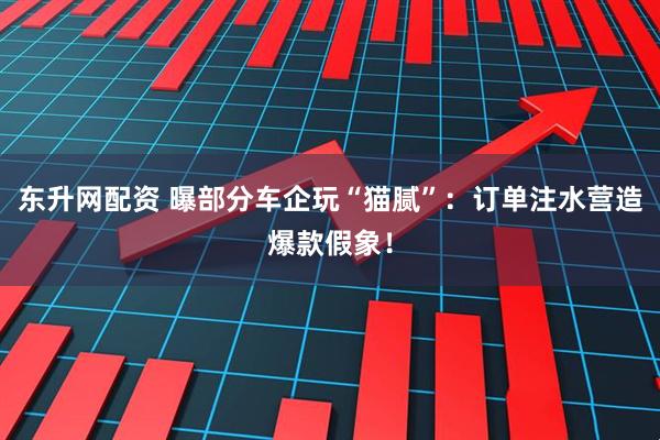 东升网配资 曝部分车企玩“猫腻”：订单注水营造爆款假象！