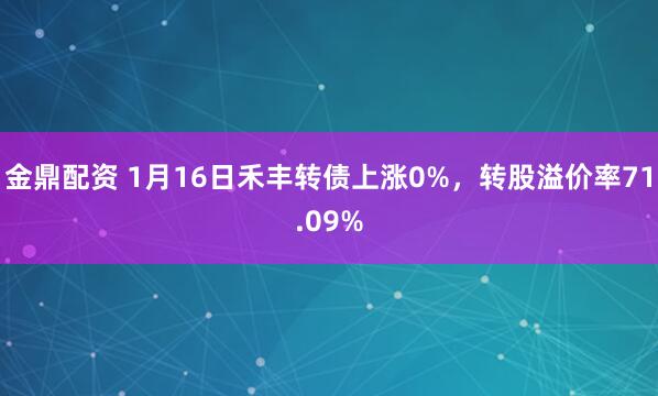 金鼎配资 1月16日禾丰转债上涨0%，转股溢价率71.09%